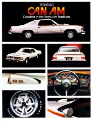 1977 Pontiac LeMans Can Am Ad